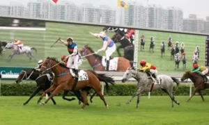 Khám Phá Thế Giới Cá Cược Đua Ngựa 98Win Đỉnh Cao