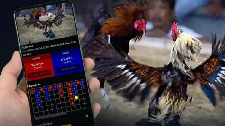 Đá Gà 98Win Đấu Trường Kê Vương Trực Tuyến Đỉnh Cao